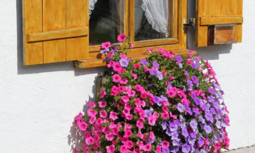 28 Beautiful window creativity, absolutely stunning, colorful flowers, magical