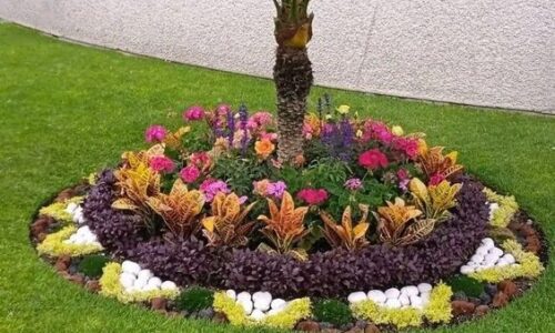 Creative Ideas to Make Small Garden with Rock