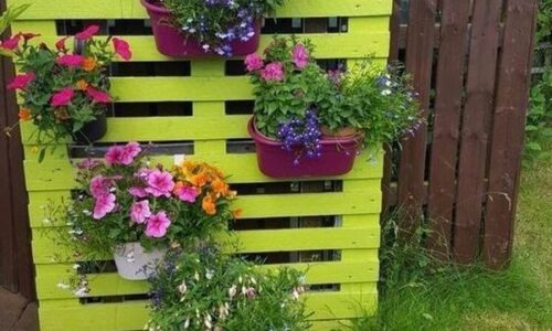 30 Great DIY Ideas That Will Give More Color to Your Garden, Making It More Attractive – IMSB Viral